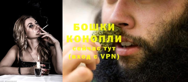 прущие грибы Лихославль