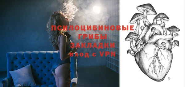 сатива Абаза