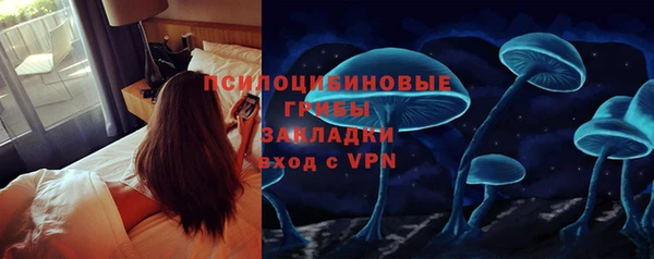 сатива Абаза