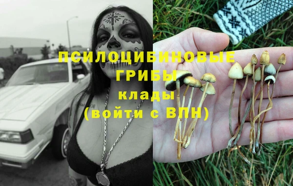 хмурый Абдулино