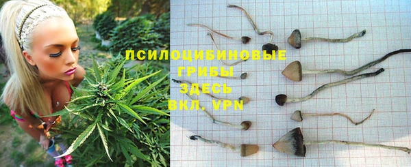 хмурый Абдулино