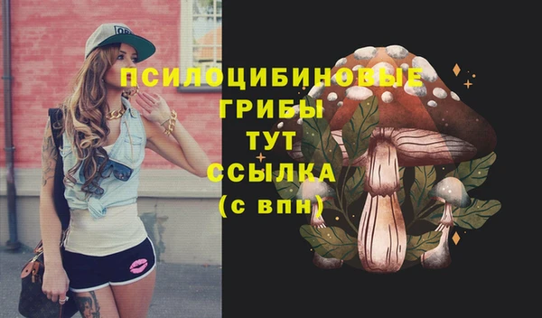 хмурый Абдулино